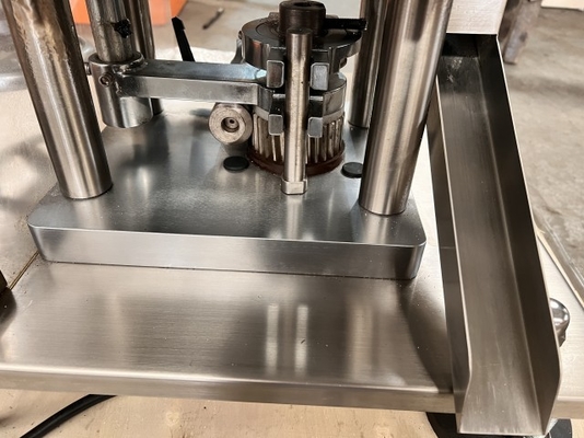 TIANHE Biotech Rund-Oblong-Stanzform Automatische Tablettenpresse Tablettendurchmesser 20mm fournisseur