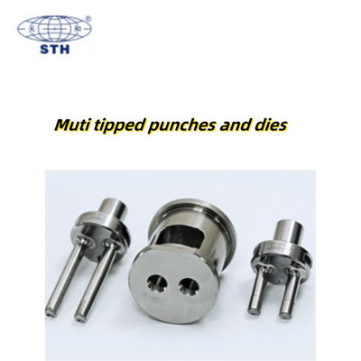 Multi Tipped High Capacity Chrome Coated Punch and Die for Pharmaceutical Tablet Press Tooling fournisseur