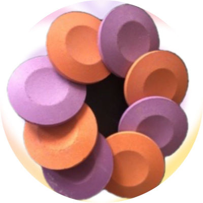 Large Size Punches and Dies for Tablet Press Tooling with Round and Irregular Shape for Long Durability fournisseur