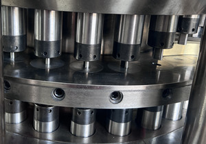 TIANHE Kapazität 50000 Tabletten-Pressmaschine für runde Form 40mm fournisseur